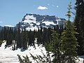 Mount Custer