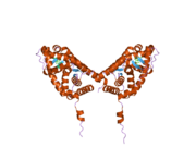 2aa5: Mineralocorticoid Receptor with Bound Progesterone