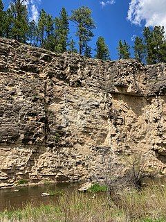 A hundred foot cliff of white limestone that shades to grey at the top rises above a small creek. Small pines and swallow nests line the nock of the eroding cliff face. The top of the cliff boasts tall pines and grasses.