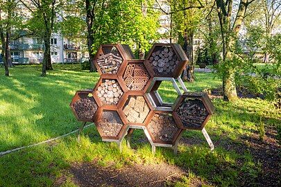 Insect hotel