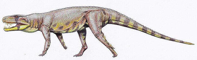 File:Polonosuchus silesiacus (2).jpg