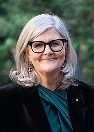 Sam Mostyn (2024–)