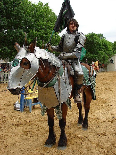 File:Scarborough-Faire-TX-Joust-1687.jpg