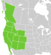 Symphyotrichum frondosum distribution map