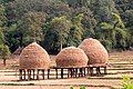 Haystack on stilts in paddy fields