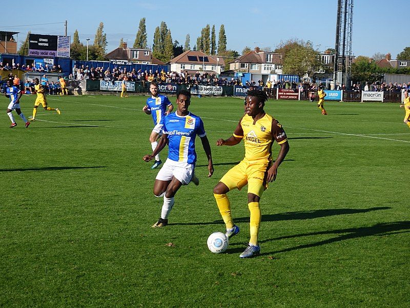 File:Wealdstone FC (31649040978).jpg