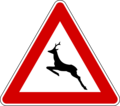 Deer on road ahead