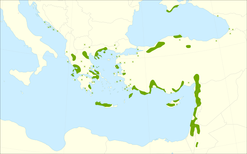 File:Arbutus andrachne range.svg