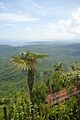 View from El Yunque