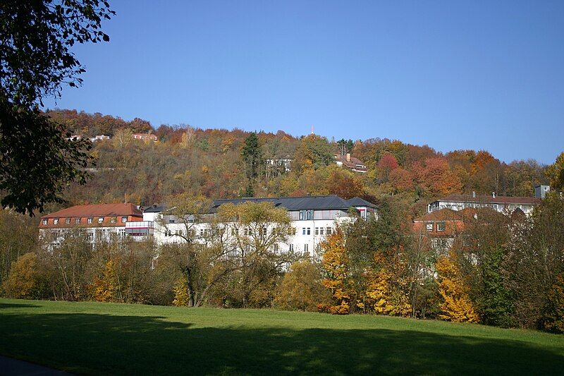 File:DZM-Herbst Tauber 2011-10.jpg