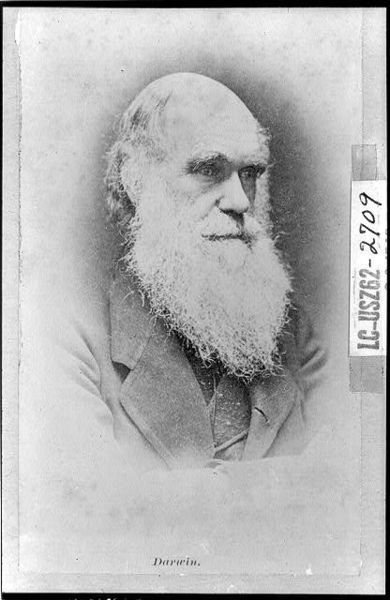 File:Darwin-Charles-LOC.jpg