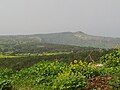 Characteristic Cypriot landscape