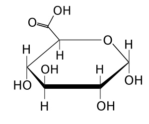 File:Glucuronic acid stereochem.svg