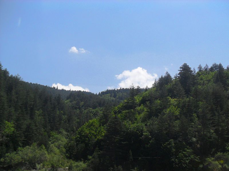 File:Ilgaz Dağı.jpg