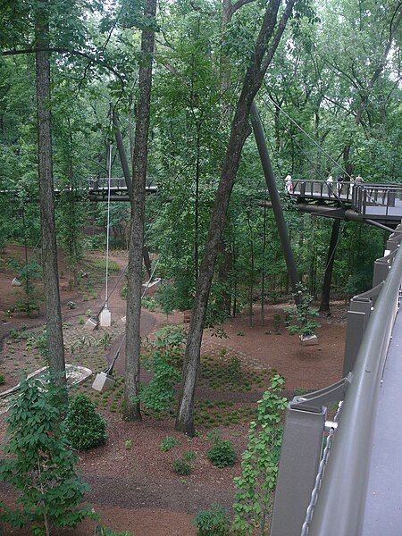 File:Kendeda Canopy Walk.JPG