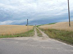 Fields in Kramsk-Łazy