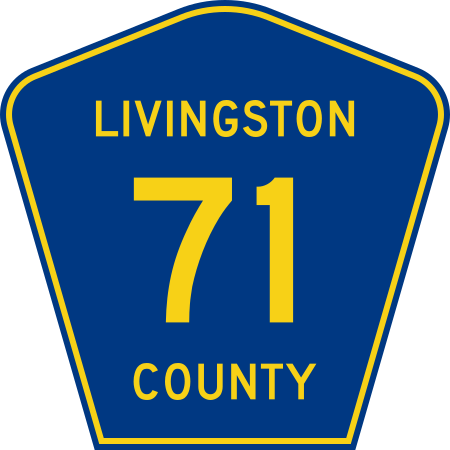 File:Livingston County 71.svg