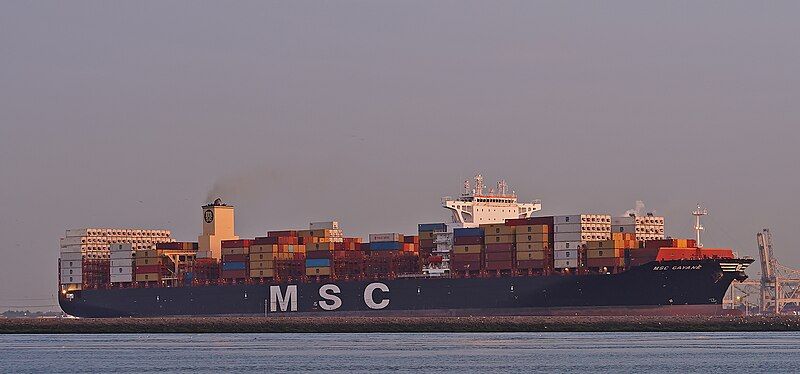 File:MSC GAYANÉ (48362954402).jpg