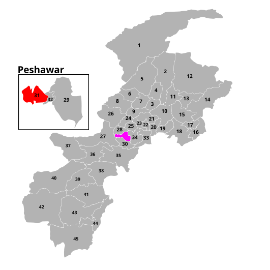 File:NA-31 Peshawar-IV (2024).svg