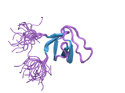 2dl3: Solution structure of the first SH3 domain of human sorbin and Sh3 domain-containing protein 1