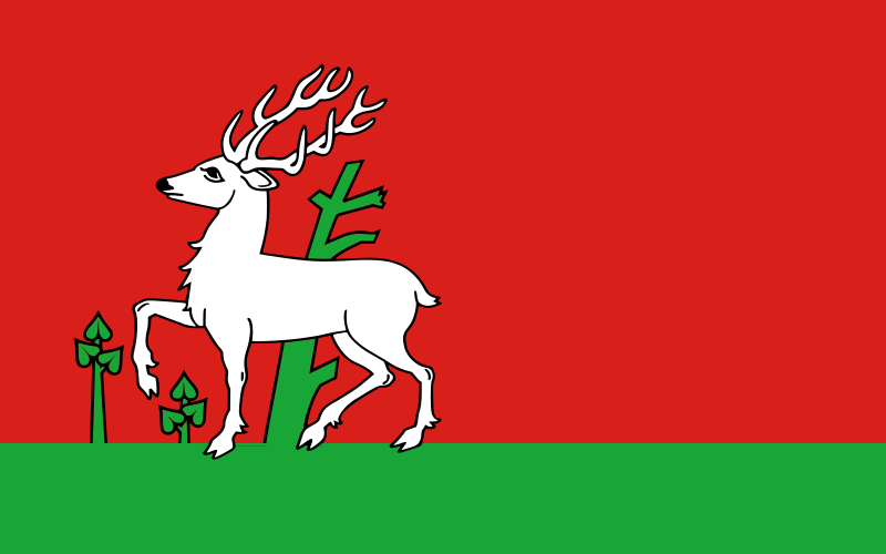 File:POL Osieck flag.svg