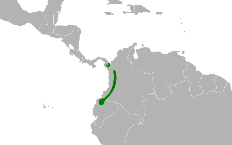 File:Poecilostreptus palmeri map.svg