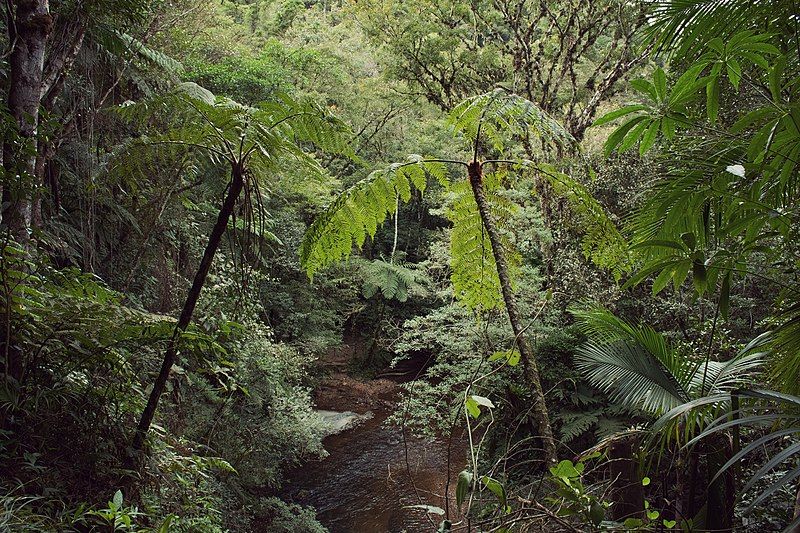 File:Rio Taquaral.jpg