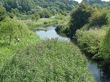 A river flowing through green countryside