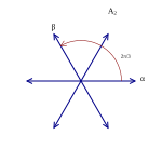 Root system A2