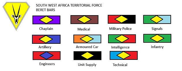 SWATF Beret Bars