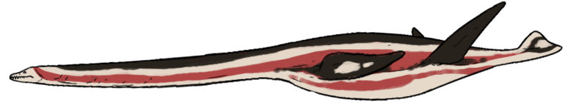 File:Spitrasaurus wensaasi.png