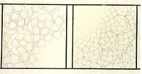 Medieval architect's plan of two muqarnas vaults, from the Topkapı Scroll