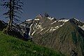 The Trettachspitze from the Hierenalpe