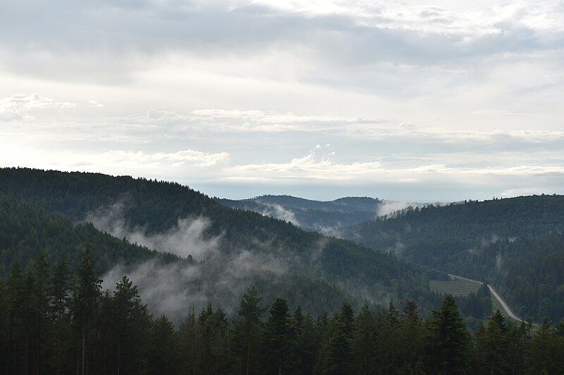 File:Valley of Turquestein-Blancrupt.jpg