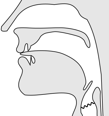 File:Voiced linguolabial nasal.svg