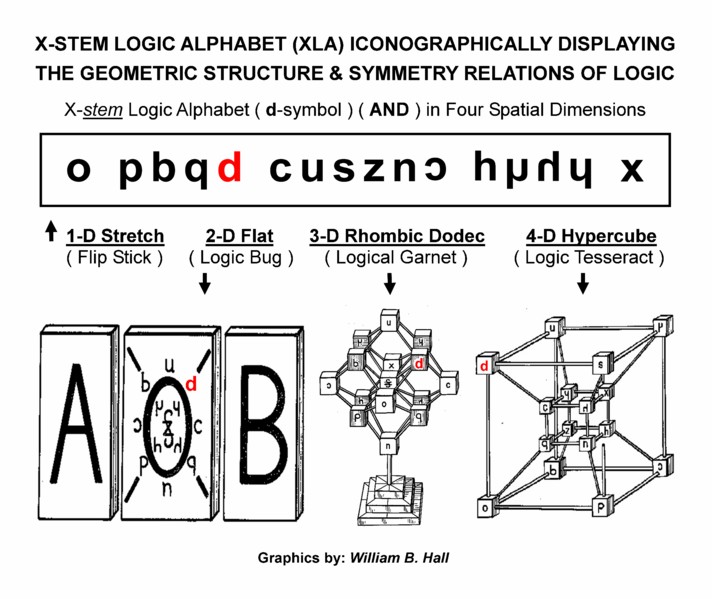 File:Zellweger-4D.png