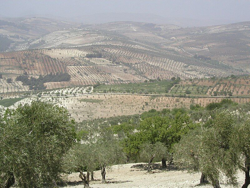 File:تلال جبل حلب.JPG