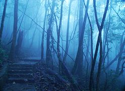 Ba Vì National Park, a few of the cloud shrouded 1,320 steps up King High Peak to the Ho Chi Minh Temple