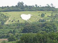 A kiwi cut into the hillside. The Bulford Kiwi near Bulford