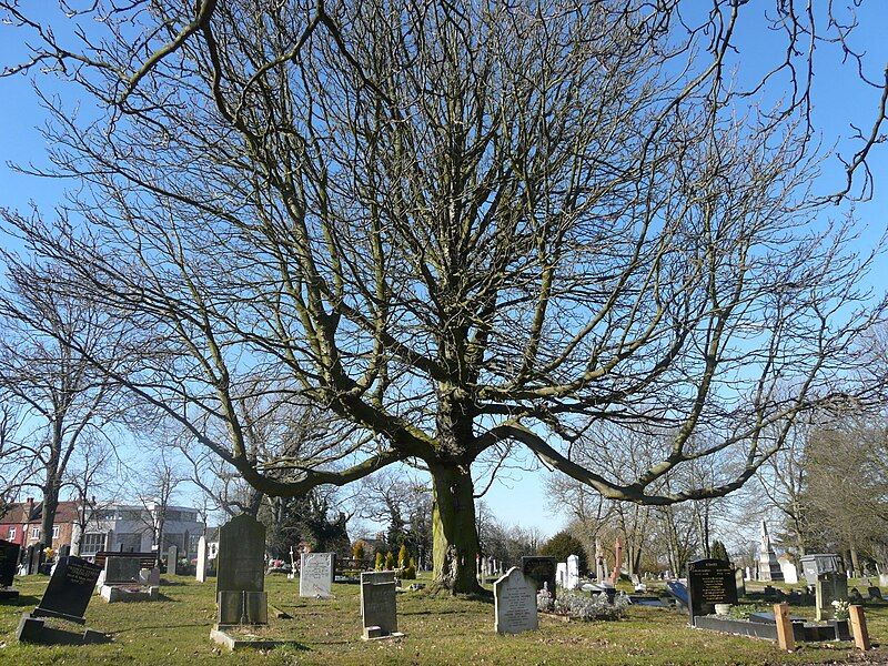 File:Camberwell Old Cemetery.jpg