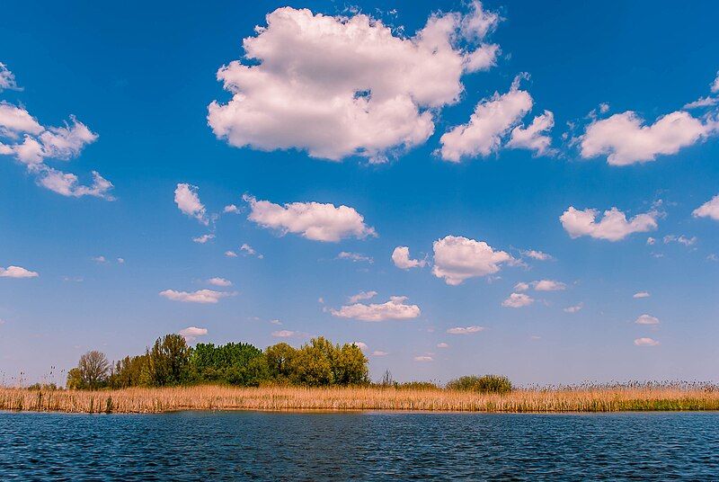 File:Carska bara, Serbia.jpg