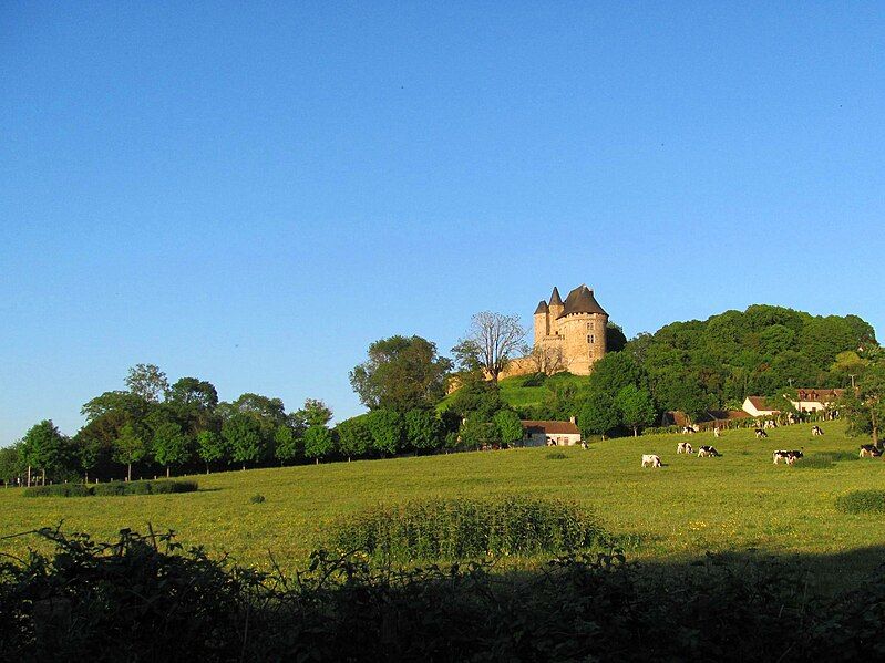 File:Chateau de ballon3.JPG