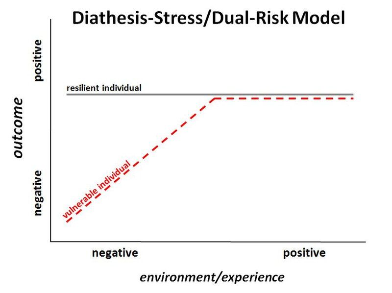 File:Diathesisstressdualriskmodel.JPG