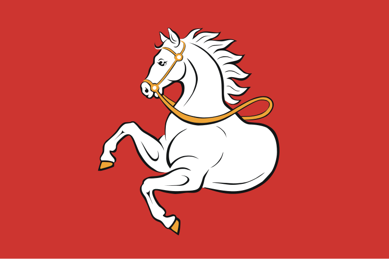 File:Flag of Pardubice.svg