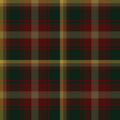 Image 1The maple leaf tartan. (from Regional tartans of Canada)