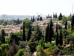 Yamin Moshe and windmill in distance