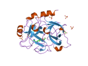 1zml: Crystal Structure of the Catalytic Domain of Factor XI in complex with (R)-1-(4-(4-(hydroxymethyl)-1,3,2-dioxaborolan-2-yl)phenethyl)guanidine