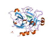 1ztl: Crystal Structure of the Catalytic Domain of Coagulation Factor XI in Complex with N-[4-Guanidino-1-(thiazole-2-carbonyl)-butyl]-2-{6-oxo-5-[(quinolin-8-ylmethyl)-amino]-2-m-tolyl-6H-pyrimidin-1-yl}-acetamide