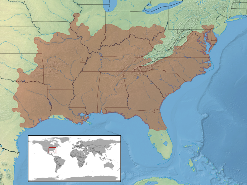 File:Plestiodon laticeps distribution.png