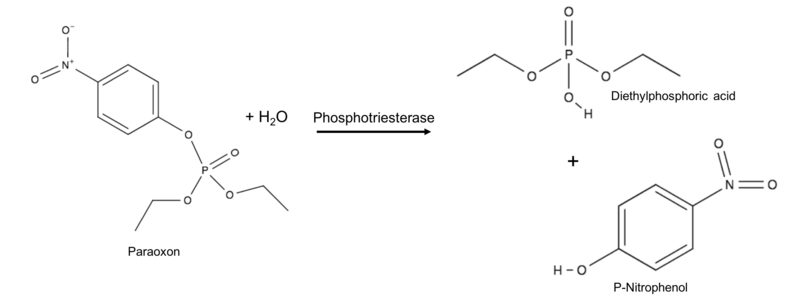 File:Reaction schematic.png